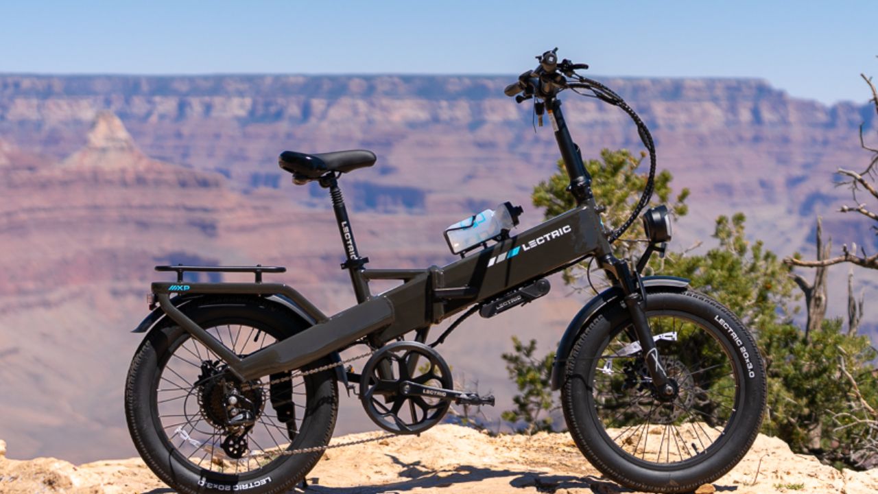 Lectric E-Bike