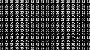 Optical Illusion